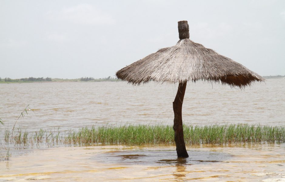 lac rose umbrella