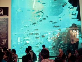 Pane of acrylic glass at the Dubai Aquarium