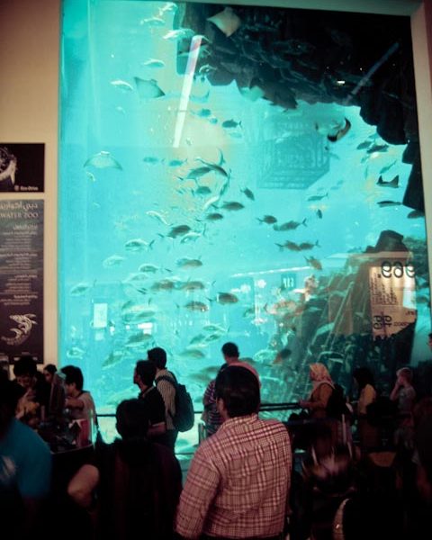 Pane of acrylic glass at the Dubai Aquarium