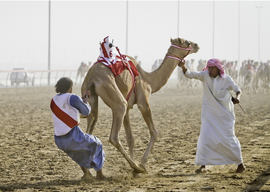 Camel Racing in Dubai / Photo by Laura Watilo Blake