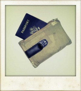 The passport is a must, and carrying it and money in a hidden pouch is smart.