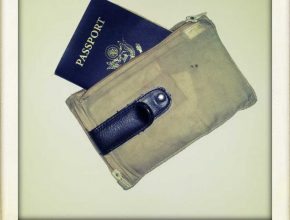 The passport is a must, and carrying it and money in a hidden pouch is smart.