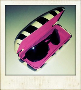 I carry my shades in a protective hard case