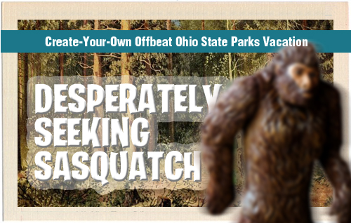 Desperately Seeking Sasquatch