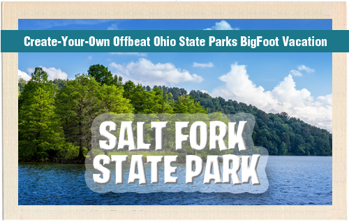 third_saltfork