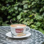 Organic coffee in the back garden of Cafe Bisetti