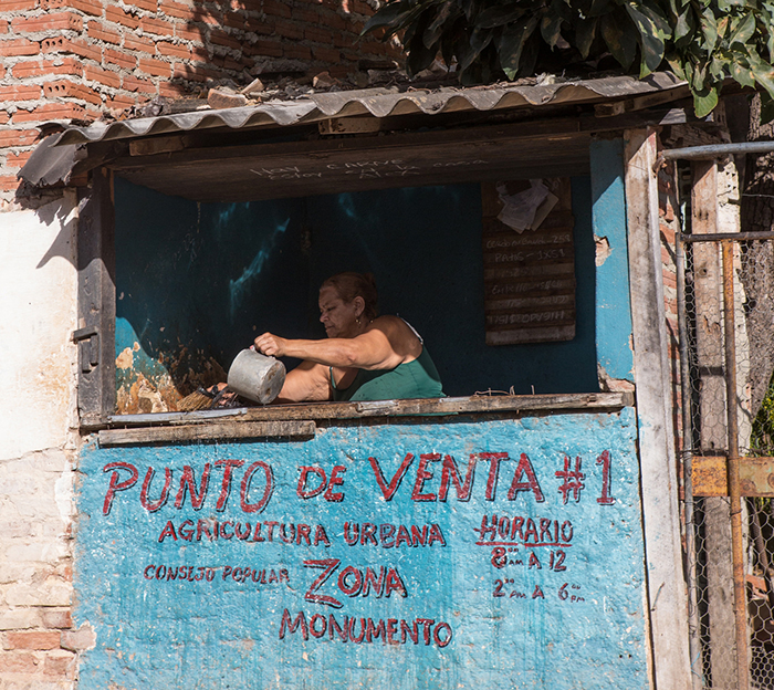 A local vendor sells fruits and vegetables from a small stall in Trinidad.