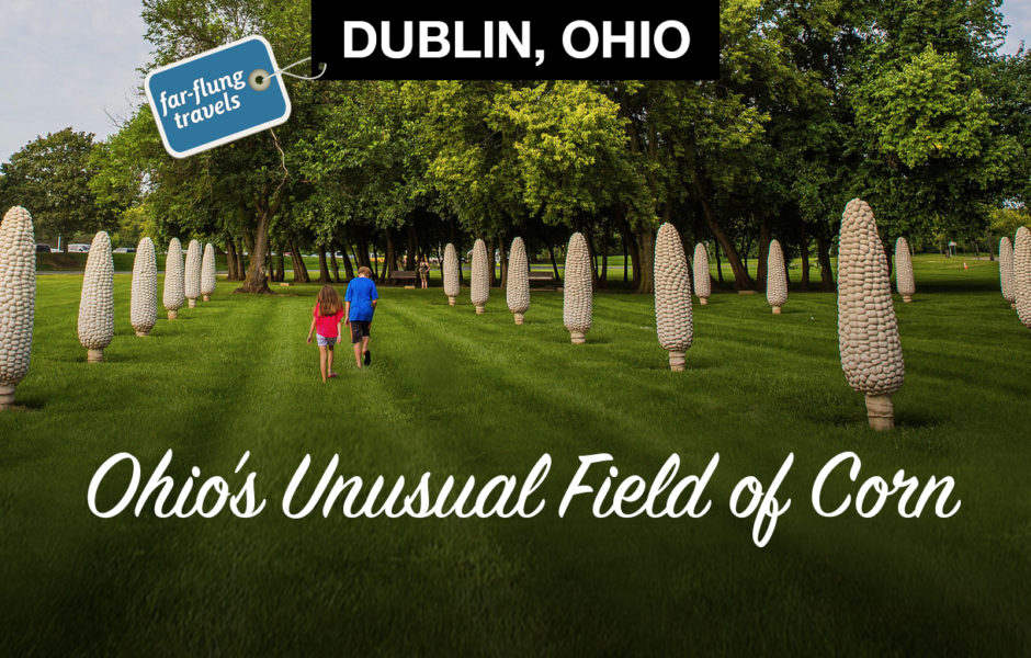 Field of Corn in Dublin, Ohio, is considered one of the state's quirkier public art displays. There are 109 6 foot high concert corn cobs standing in a field in Dublin.