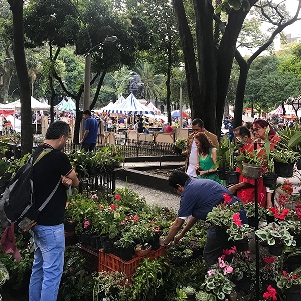 The San Alejo Market in the Parque Bolivar in downtown Medellín.