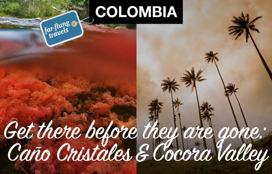 Colombia; Is Colombia Safe; things to do in Colombia; Natural wonders; of Colombia; Colombia’s natural wonders; things to see in Colombia; how to get to Caño Cristales; how to get to the Cocora Valley