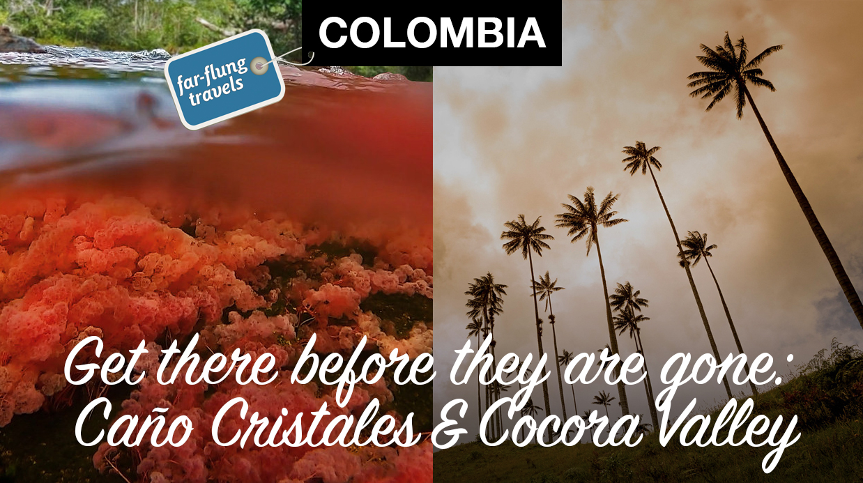 Colombia; Is Colombia Safe; things to do in Colombia; Natural wonders; of Colombia; Colombia’s natural wonders; things to see in Colombia; how to get to Caño Cristales; how to get to the Cocora Valley